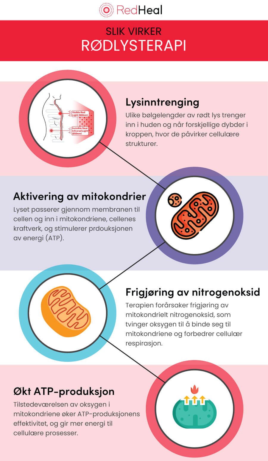 Hvordan virker rødlysterapi ?